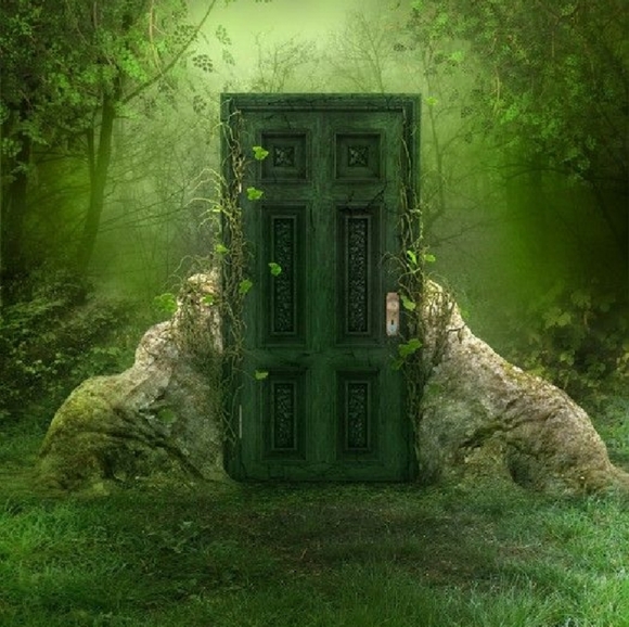 Follow Game #1 - Picture 3 of 7